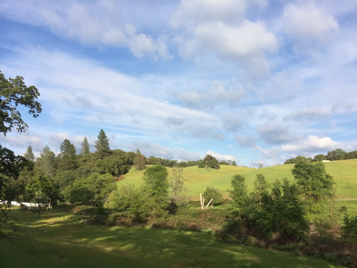 Green rolling foothills under a big cloud-streaked sky, oaks along the fold and a white fence below.