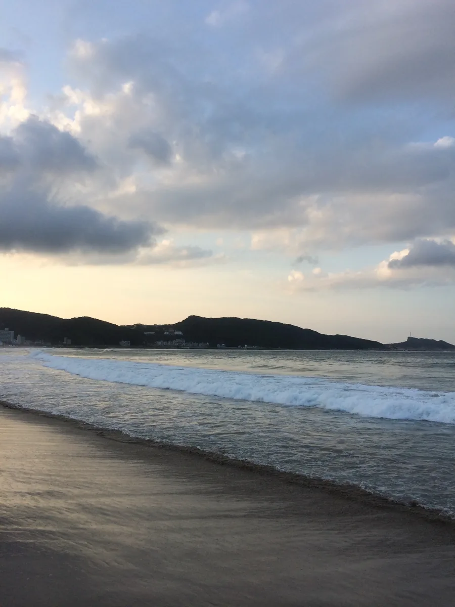 Surf running in at dusk below a dark headland, the town along its foot already small.
