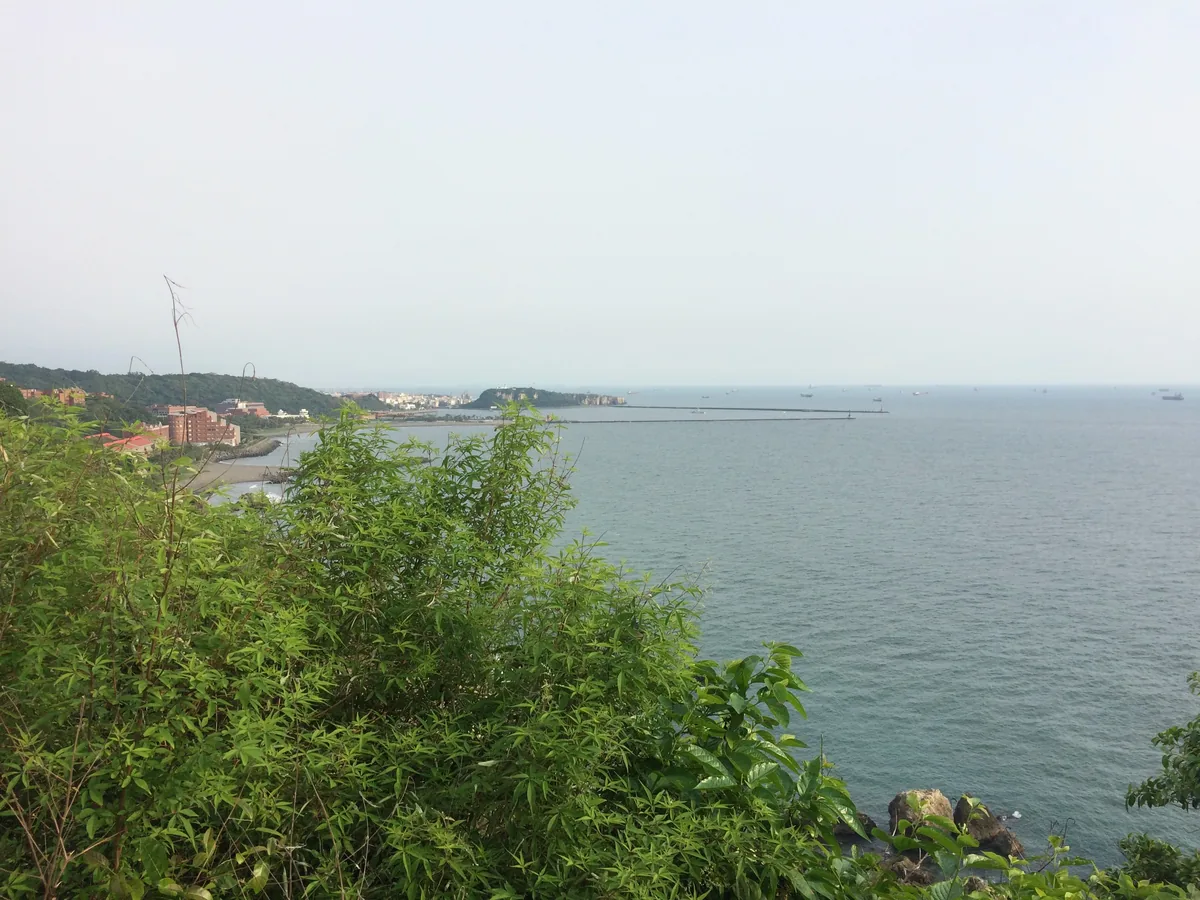 A harbour seen over green scrub from a hillside, breakwater out and cargo ships lined along the haze.