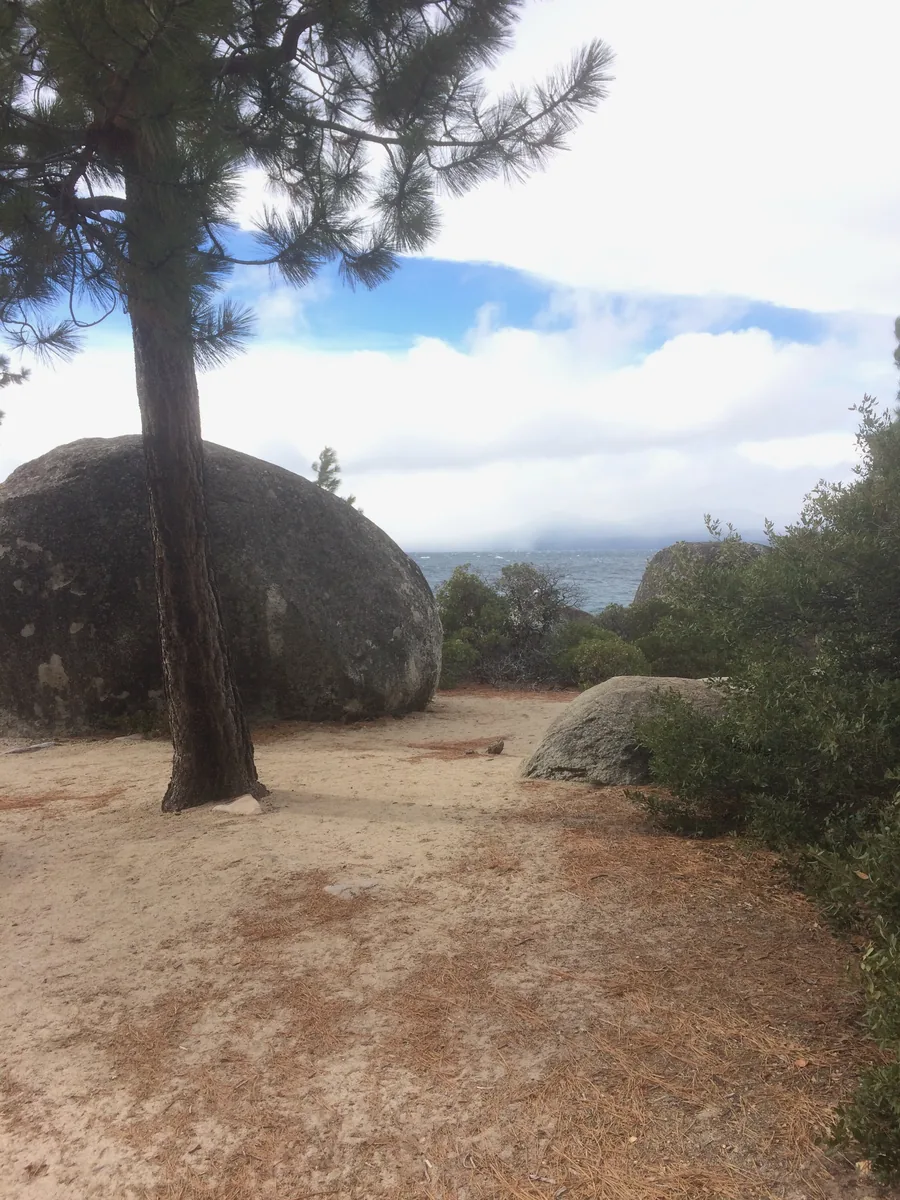 A pine leaning against a granite boulder above a wind-roughed lake, cloud sitting on the far shore.