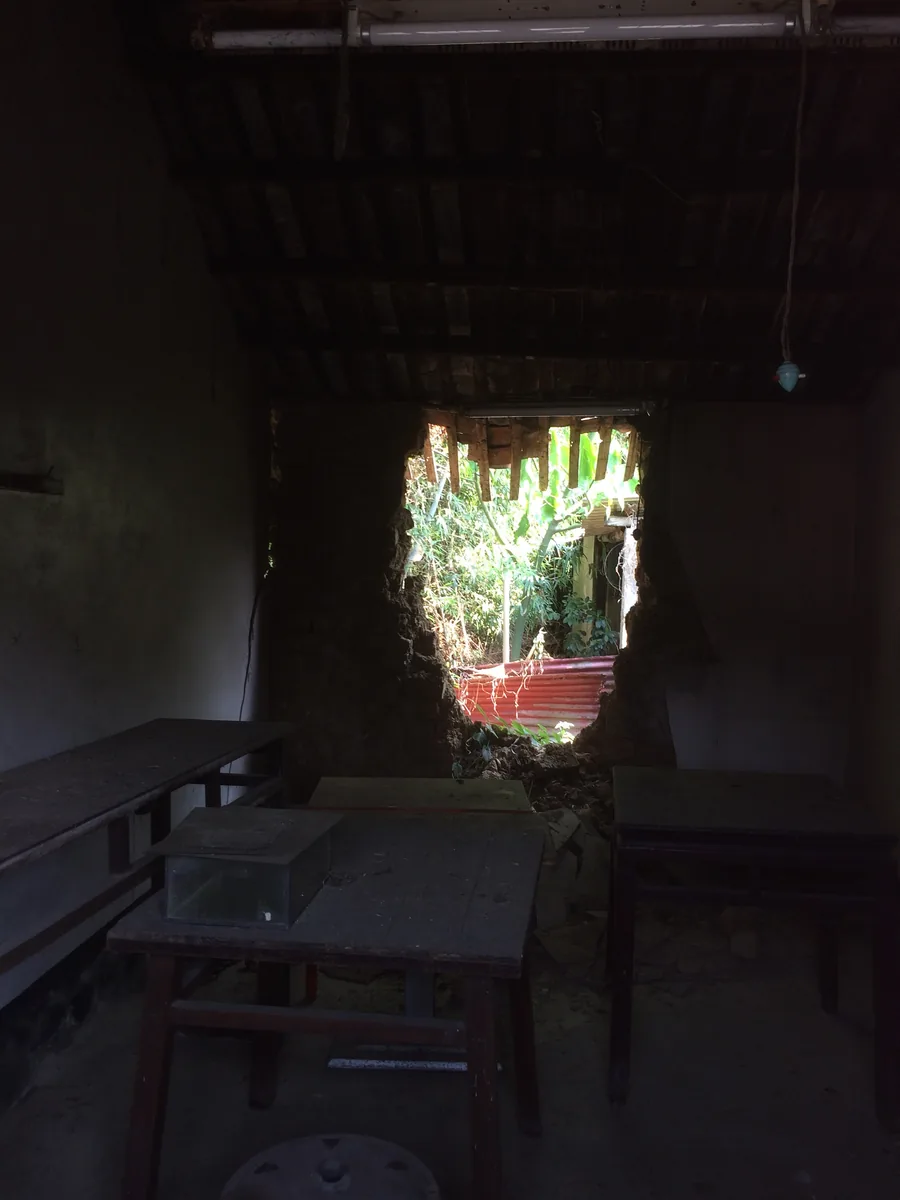 A dark room where the mud wall has broken open to daylight and banana leaves; old tables still stand.